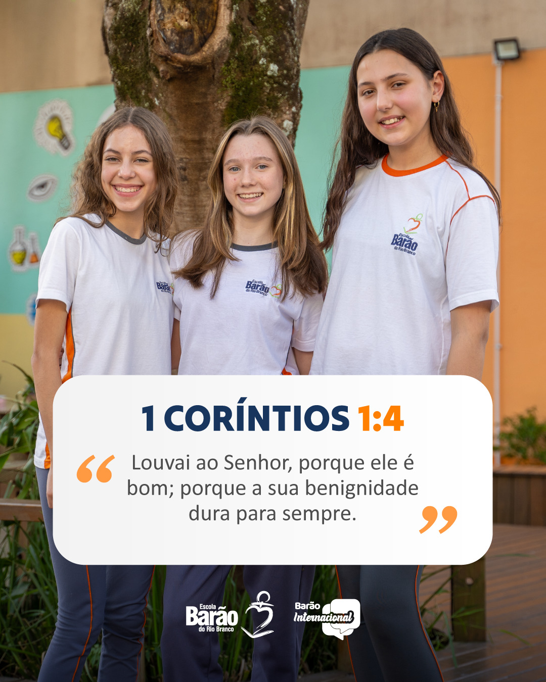 Instagram Imagem