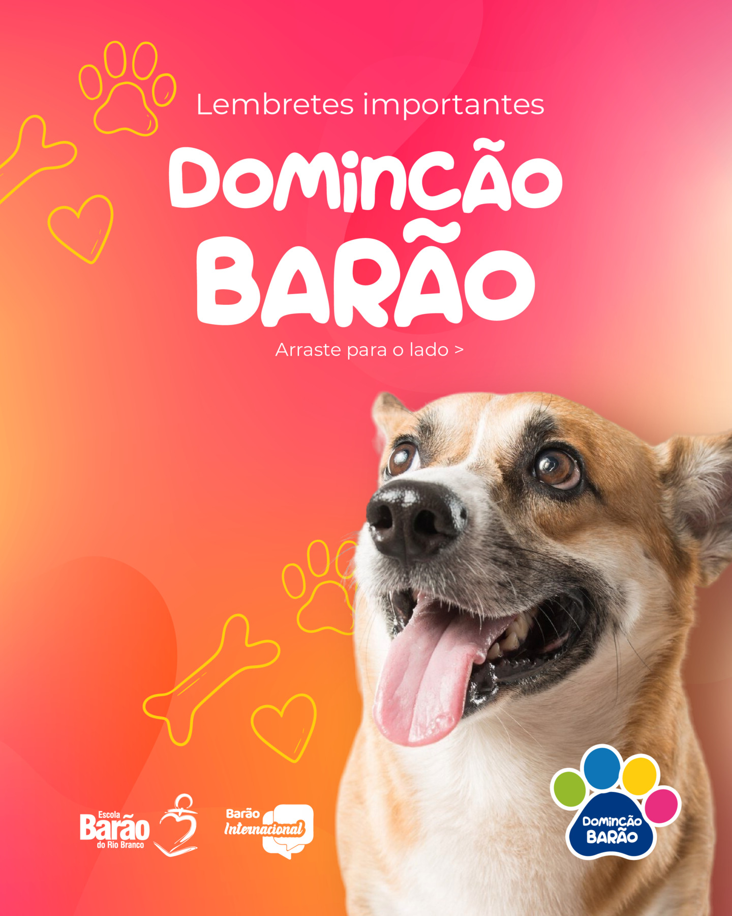 Instagram Imagem