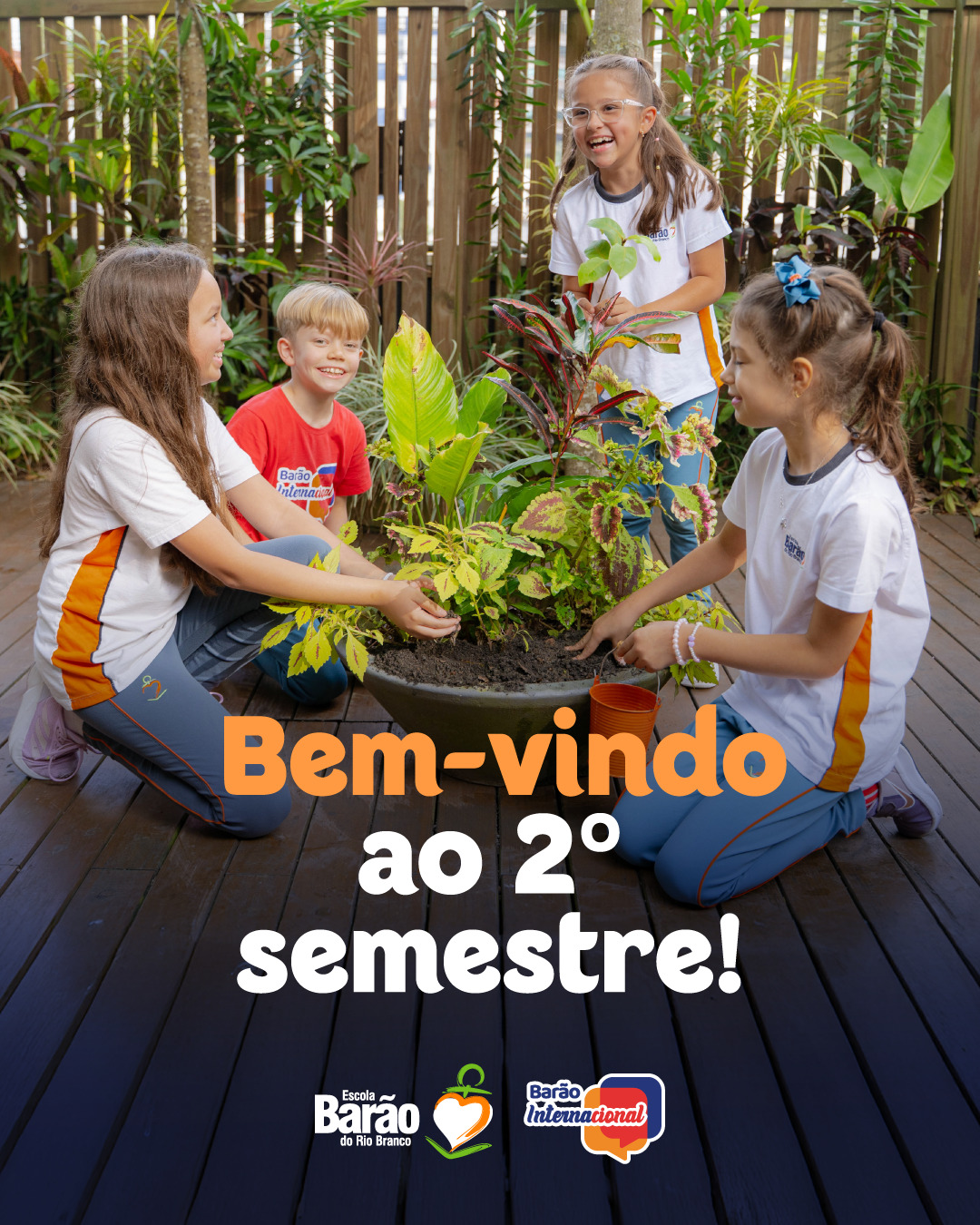 Instagram Imagem