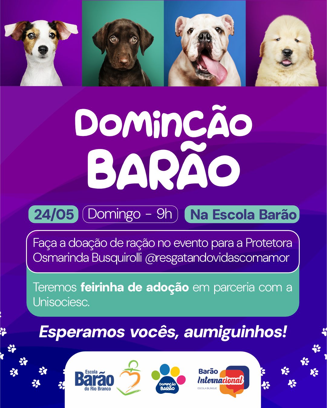 Instagram Imagem