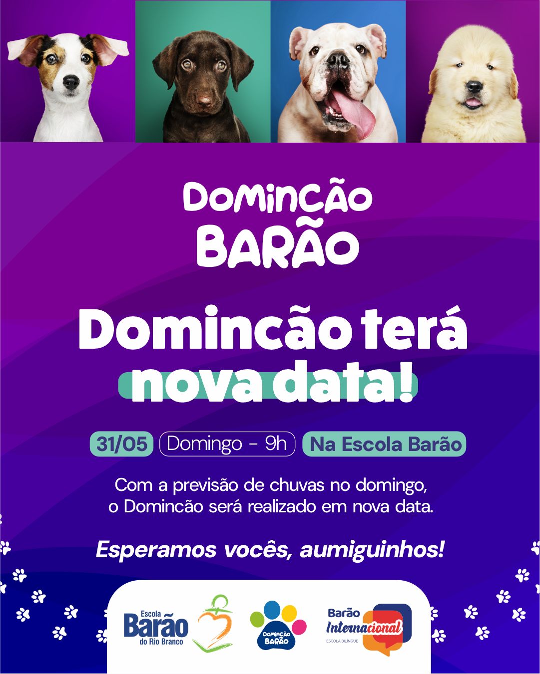 Instagram Imagem
