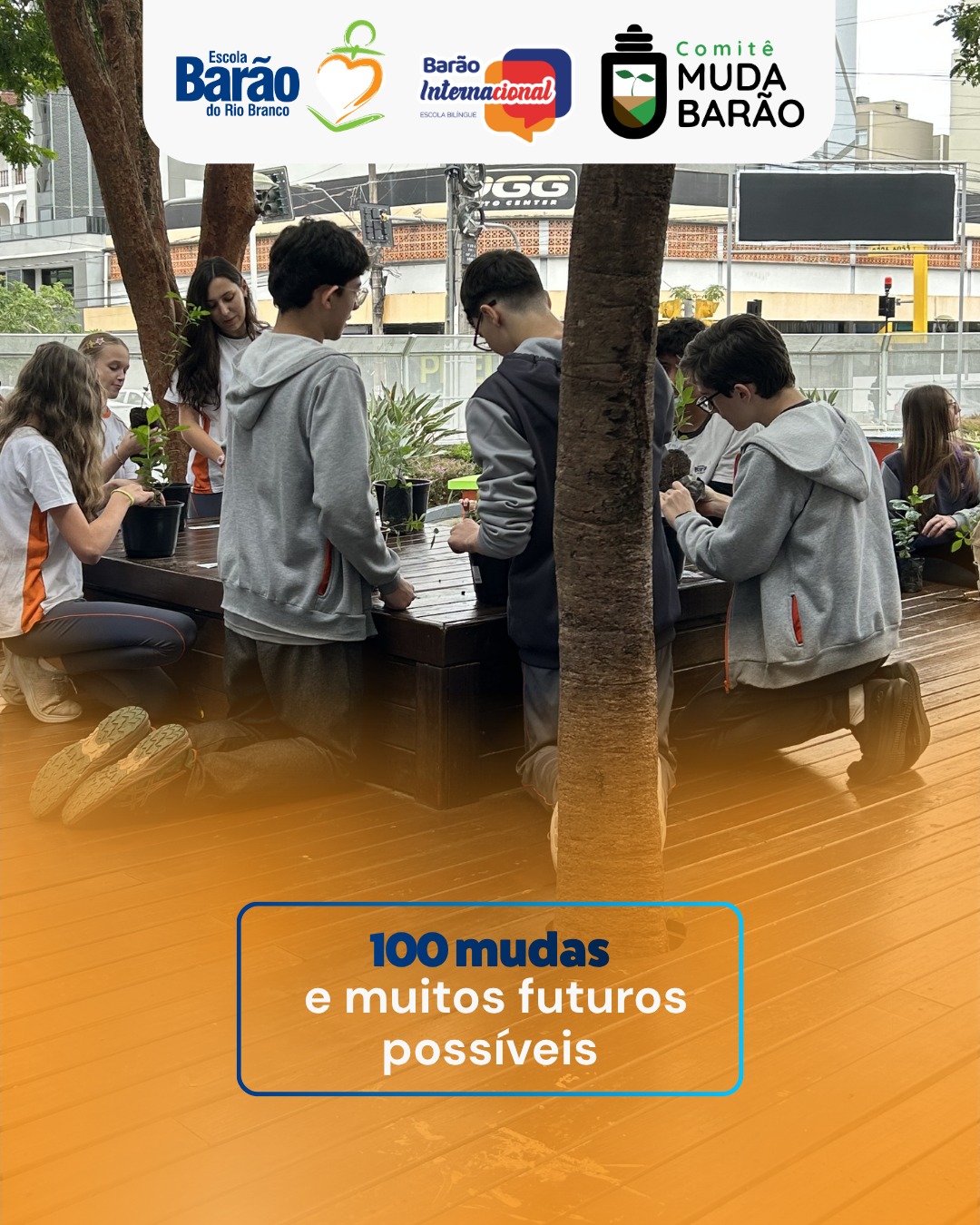 Instagram Imagem