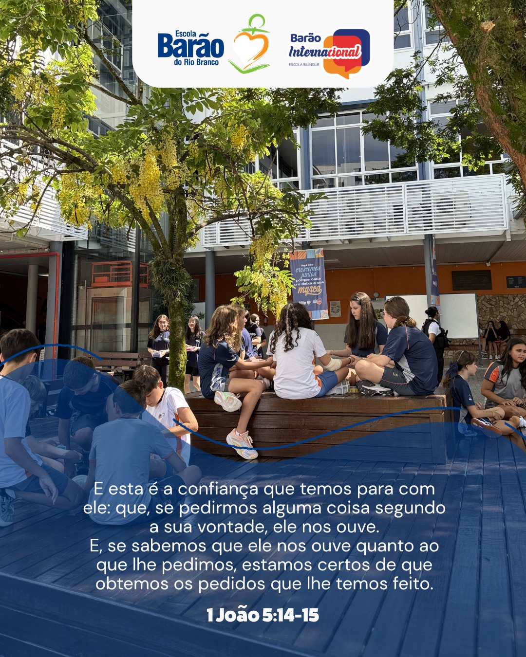 Instagram Imagem
