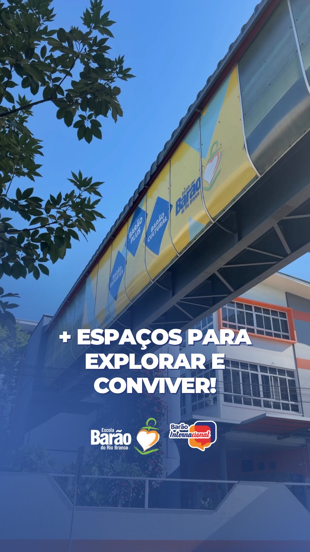 Instagram Imagem