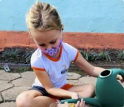 Turmas do 2º ano aprendem sobre a germinação das plantas